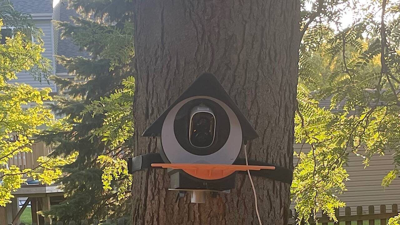 Bring More Birds into Your Life with a Birdkiss Smart Bird Feeder 