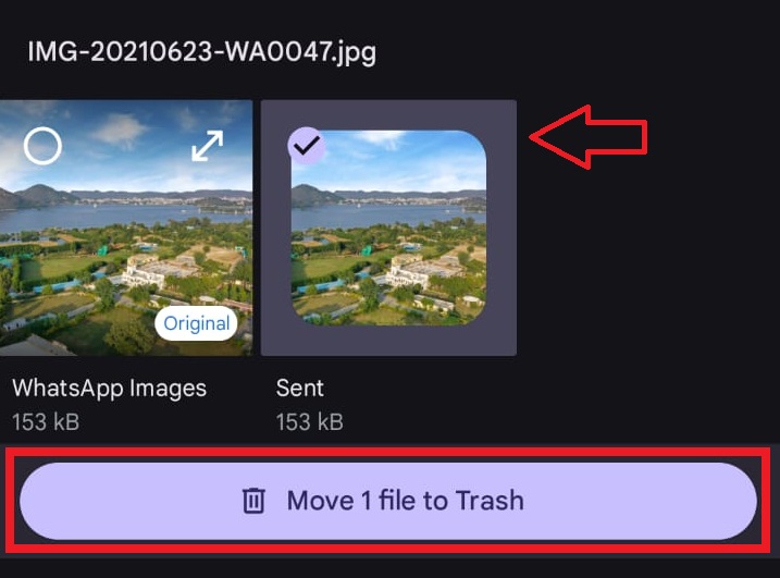 A step to sSelect the duplicate image and Tap on the Move X files to Trash option.