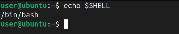 displaying current shell path using echo command