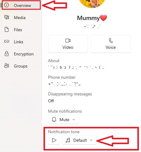 Steps to custom Notification Tone on Personal chat on Whatsapp Web app.