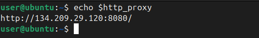 Verification of newly set-up proxy using echo command.