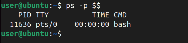 showing current shell process information using ps command