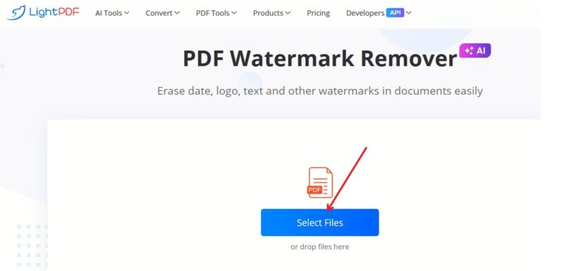 Clicking on "Select Files" button in LightPDF tool. 
