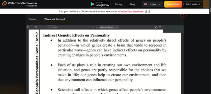 Clean PDF view in Watermark Remover tool. 