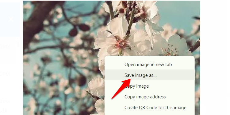 browser menu to save image with profile photo in background