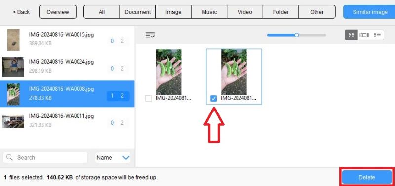 Similar Image Tab in Cisdem Software, where you can select the duplicate image found by the tool and click on the Delete button to delete the duplicate image.