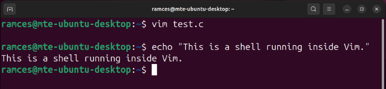 A terminal showing the internal shell session inside Vim.