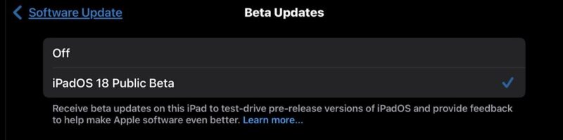 Apple M4 Ipad Pro Ipados 18 Public Beta