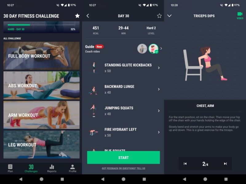 30 Day Fitness Challenge app interface overview. 
