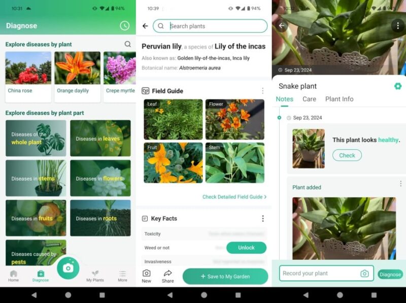 PictureThis app interface overview.