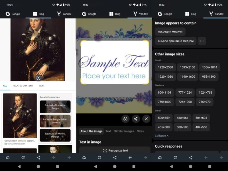 Reverse Image Search Multi app interface overview.