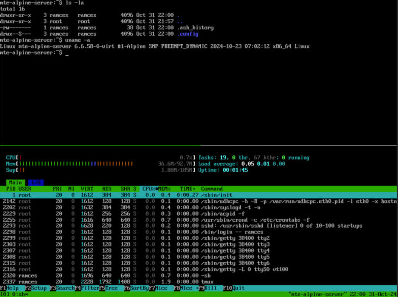 A terminal showing Alpine Linux running with as little as 128MB of RAM.