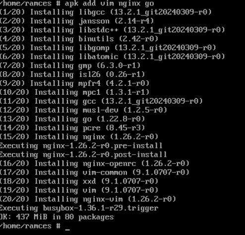 A terminal showing the quick package resolution in Alpine Linux.