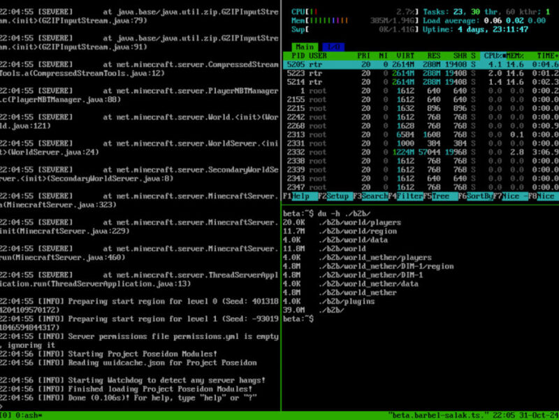 A terminal showing the Minecraft server binary running in Alpine Linux.