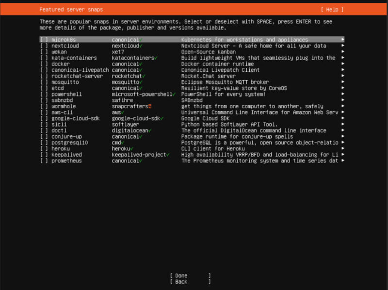A terminal showing the different applications that you can install in Ubuntu Linux Server right at the installer ISO.