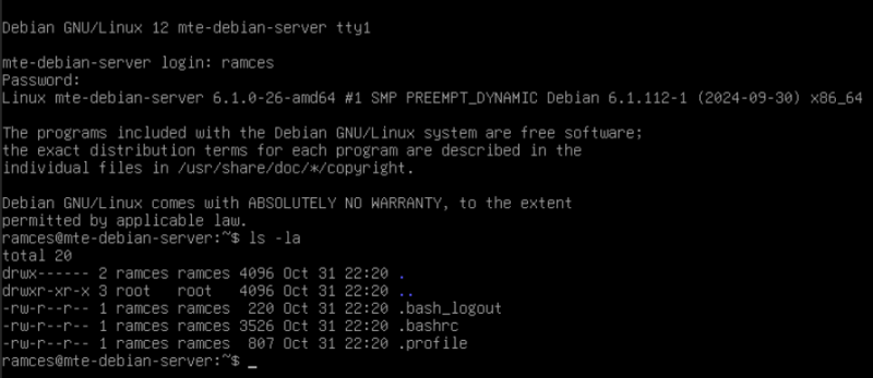 A terminal showing the default screen for Debian Linux server.