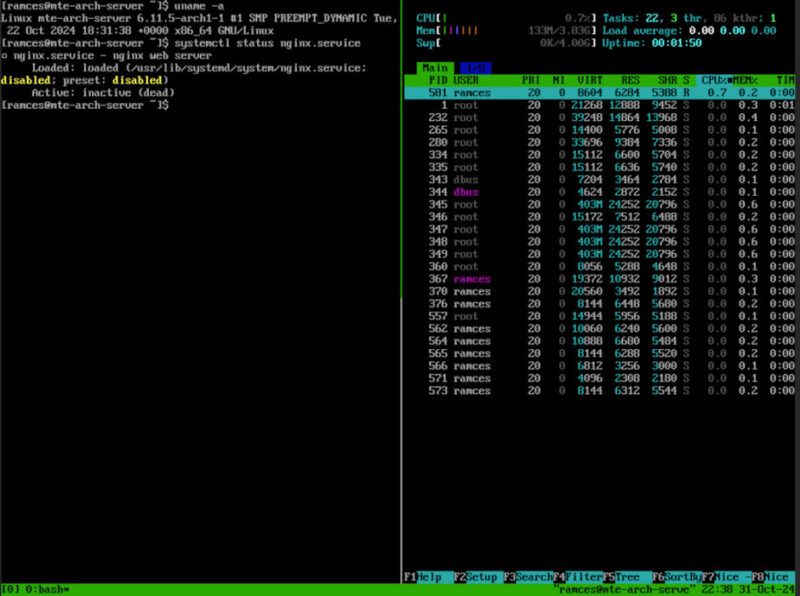 A terminal showing a minimal Arch Linux installation running as a server OS.
