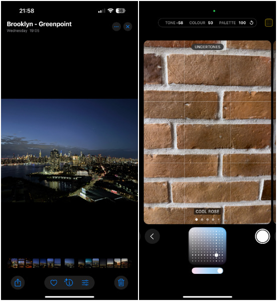 Cool Rose Photographic Style