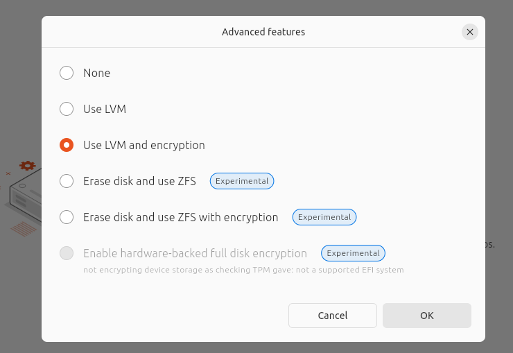 Choosing LVM and encryption options.