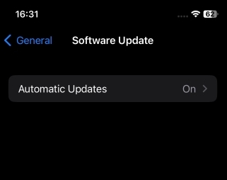 Checking for updates on iPhone. 
