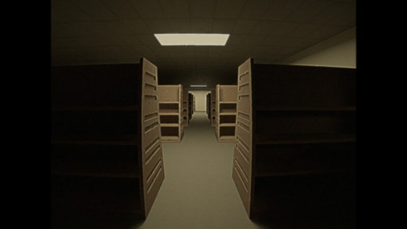 A screenshot from Backrooms: Found Footage. The image shows a camcorder recording of a library-like structure, dimly-lit.