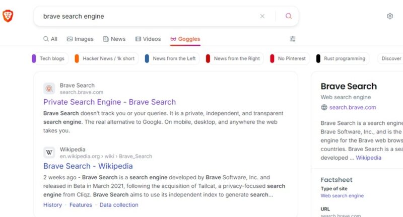 Searching using Goggles on Brave.