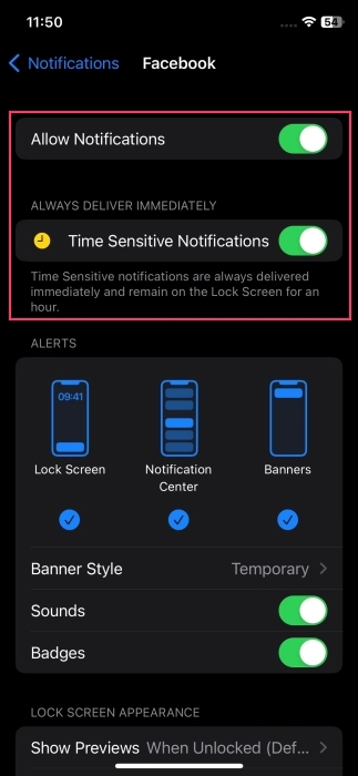 Turning on toggles for "Allow Notifications" and "Time Sensitive Notifications" options on iPhone. 