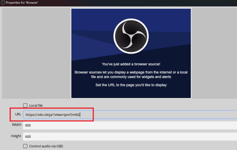 A screenshot from OBS Studio, showing the user selecting the URL and dimensions for their Facecam while streaming. 