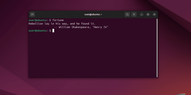 The Linux Terminal.