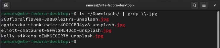 A terminal showing Grep filtering file lists based on file extension.