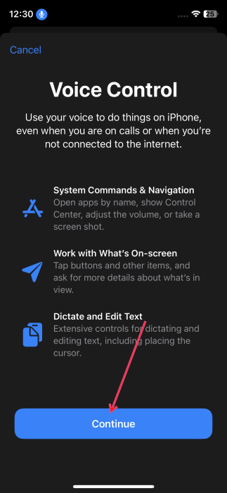 Tapping "Continue" in iPhone Voice Control Settings. 