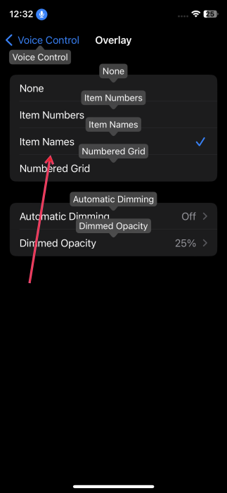Selecting "Item Names" option in Voice Control menu on iPhone.
