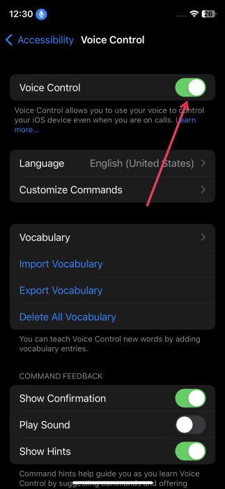 Tapping on "Voice Control" option in iPhone Accessibility menu. 