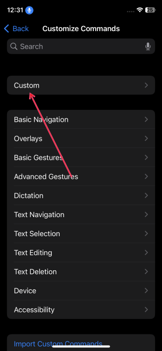 Tapping on Custom option to customize voice command on iPhone. 