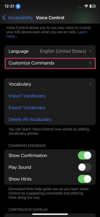 Tapping on "Customize Commands" option in Voice Control on iPhone.
