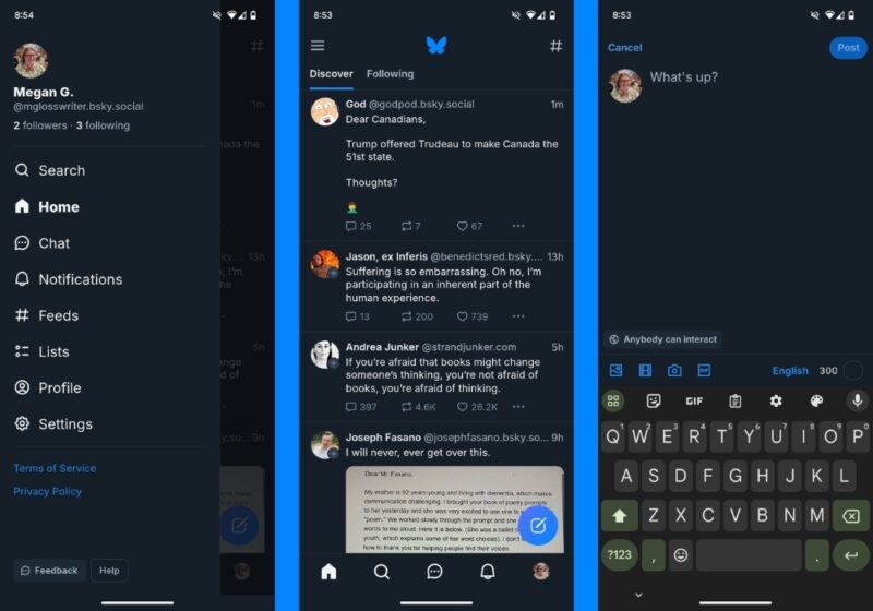 Bluesky Twitter Alternative