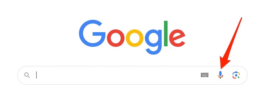 The microphone icon in Google search