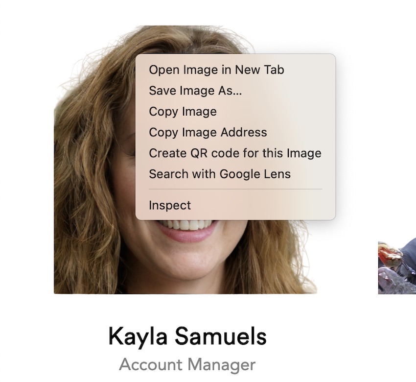 Search With Google Lens on a Website