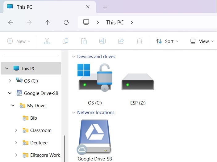 Google Drive folder viewed in File Explorer window, created using Mountain Duck application.