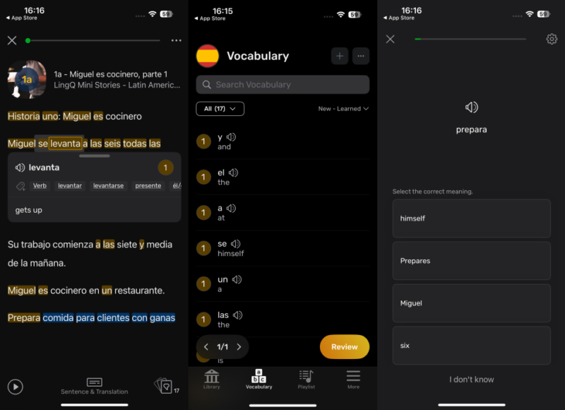 LingQ app interface overview.