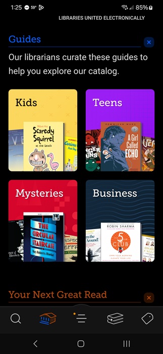 Libby app showing recommendations from my local library.