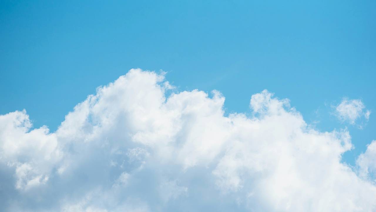 Bluesky Gains New Users Featured