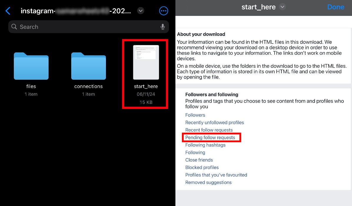 A screenshot of the downloaded files. The second is a screenshot of the downloaded file, highlighting a user's pending follow requests on Instagram.