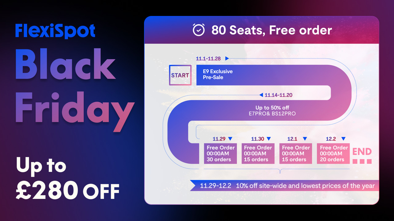 Flexispot Black Friday Sale