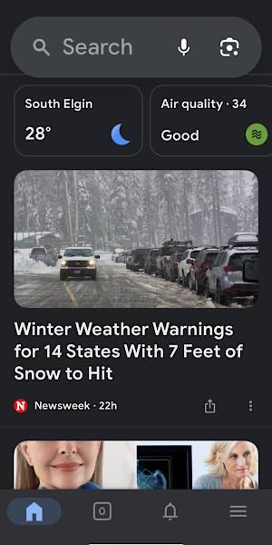 Google Browser Ios App Changes Search