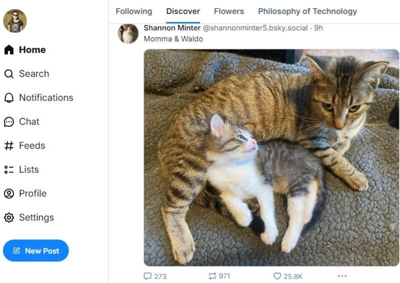 Better recommendations in my Discover feed.