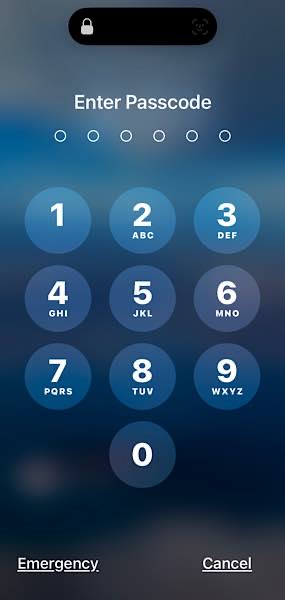 Iphone Reboot Other Phones Afu