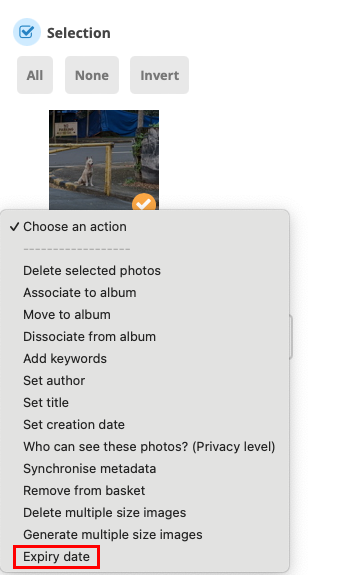 A screenshot showing the location of the Expiry Date option on the Piwigo upload form.