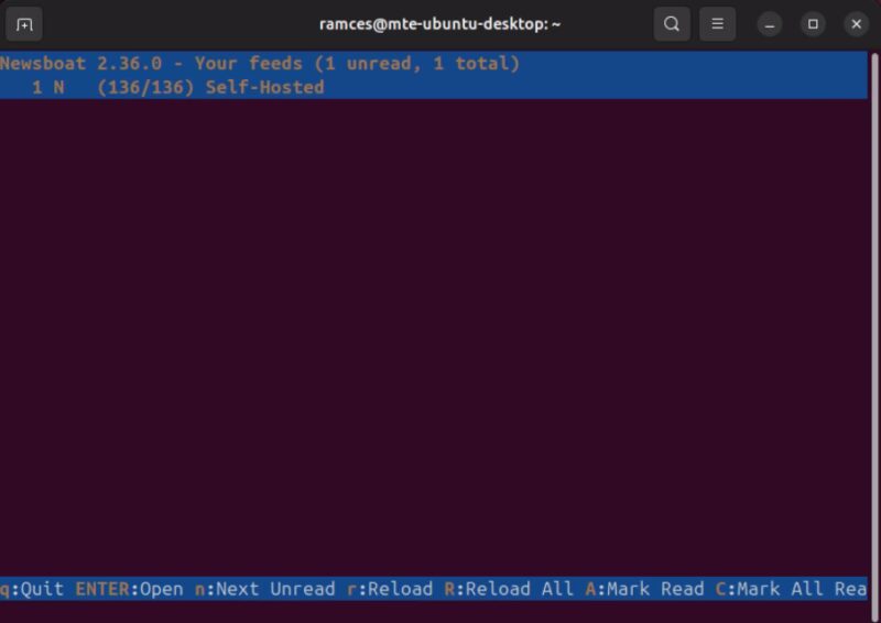 A terminal showing Newsboat running properly.