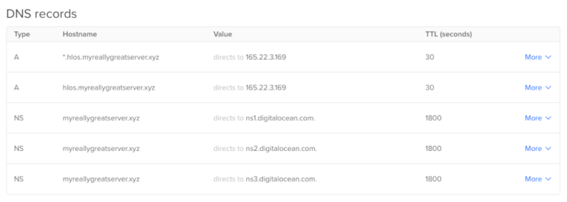 A sample of a DNS record showing HomelabOS running on a machine with a public IPv4 address.